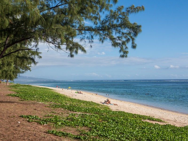 Le Nautile Beachfront Saint-Gilles-les Bains Exterior foto